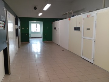 Wynajmę - Wylęgarnia Drobiu-pisklęta : gęsi, kaczki lub inne