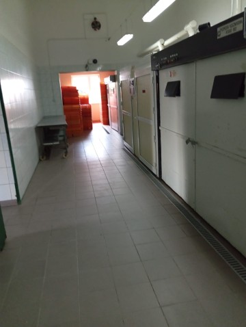 Wynajmę - Wylęgarnia Drobiu-pisklęta : gęsi, kaczki lub inne