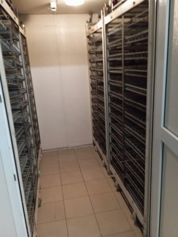 Wynajmę - Wylęgarnia Drobiu-pisklęta : gęsi, kaczki lub inne