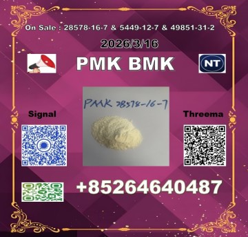 good seller PM.K 28578-16-7  BM.K 5449-12-7