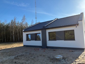 Żółwieniec dom przy jeziorze