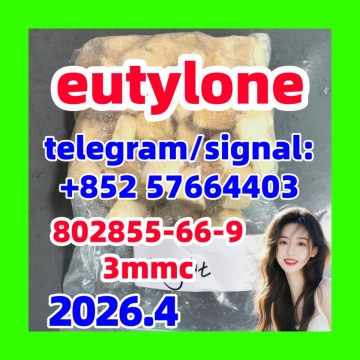 802855-66-9 eutylone 3mmc 4mmc 17764-18-0 mdma