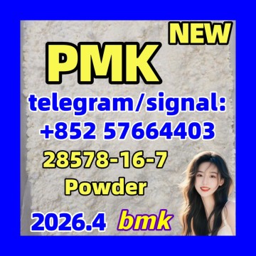 PMK 28578-16-7 powder oil ethyl glycidate