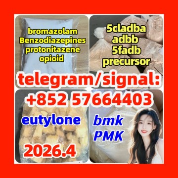 119276-01-6 protonitazene opioid  isotonitazene