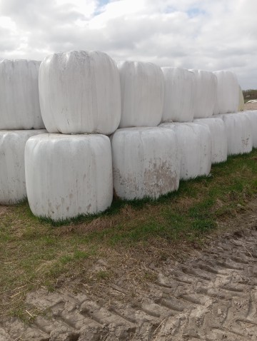 Sprzedam sianokiszonkę