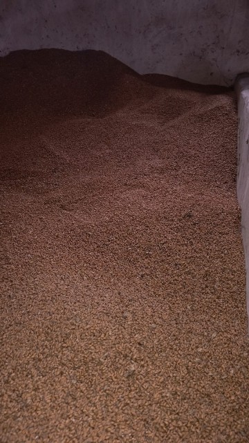 Pszenica ozima | Owies jary | Słoma