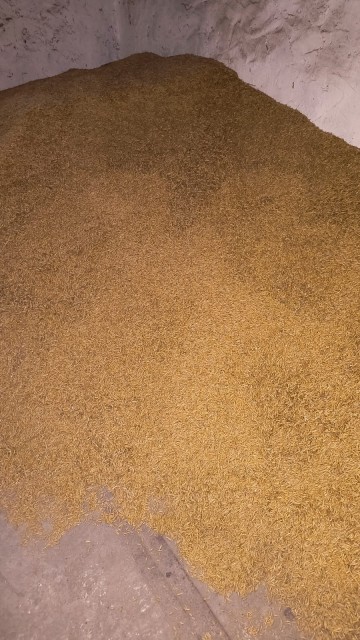 Pszenica ozima | Owies jary | Słoma