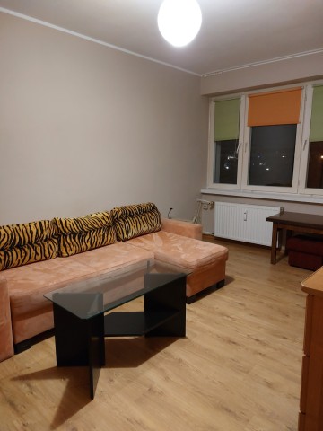 Wynajmę budżetowe mieszkanie, Konin V Osiedle