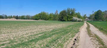 Działka inwestycyjna pod AG, Słupca, Wola Koszucka – Parcele