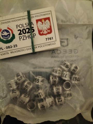 Obrączki dla gołębi