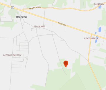 Sprzedam Las Brzeźno 76ar, Las Konin , Gmina Krzymów