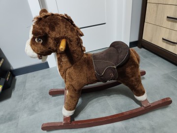 Konik bujany