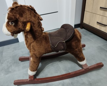 Konik bujany