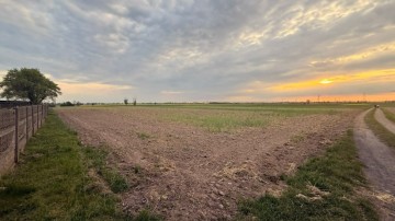 Działki budowlane na sprzedaż – Kotunia, gm. Słupca
