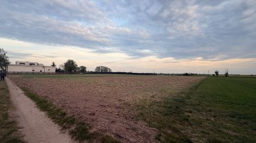 Działki budowlane na sprzedaż – Kotunia, gm. Słupca