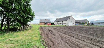 Gospodarstwo rolne Jabłków gm. Kramsk 5,7 ha