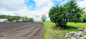 Gospodarstwo rolne Jabłków gm. Kramsk 5,7 ha