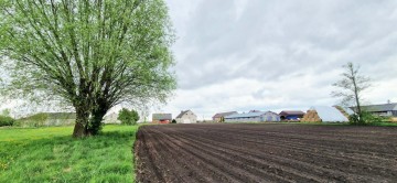 Gospodarstwo rolne Jabłków gm. Kramsk 5,7 ha