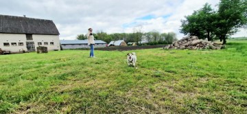 Gospodarstwo rolne Jabłków gm. Kramsk 5,7 ha