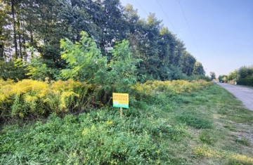 Sprzedam działkę budowlaną na osiedlu Wilków w Koninie
