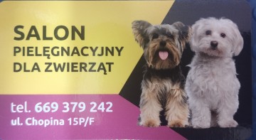 SALON DLA ZWIERZĄT-FRYZJER