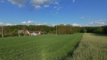 NA SPRZEDAZ DZIAŁKA JÓZEFOWO POWIAT SŁUPECKI
