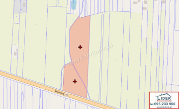 Sprzedam 2 działki rolne - 2,51 ha - Krzymów, pow. koniński