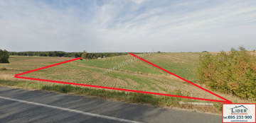 Sprzedam 2 działki rolne - 2,51 ha - Krzymów, pow. koniński