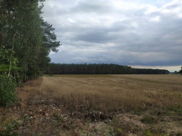 Działka, Działki budowlane gm. Rzgów Józefowo, Konin - cicha