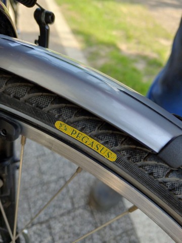 Rower pegasus premio sl