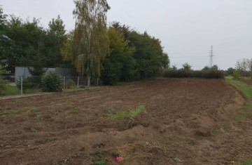 Na sprzedaż 2 działki z wyd. warunkami zabudowy -Drozdów, wo ...