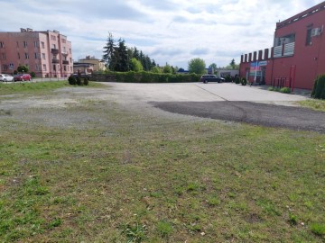 Wynajmę duży lokal handlowo-magazynowy, parter, parking