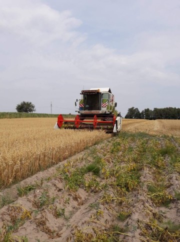 Claas Dominator 118sl maxi 108sl maxi