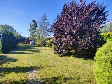 Sprzedam dom z bali na dużej działce, w okolicy jeziora