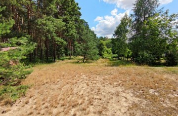 Na sprzedaż działka budowlana w sąsiedztwie lasów i jeziora
