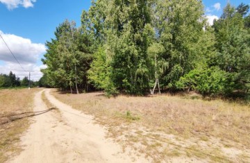 Na sprzedaż działka budowlana w sąsiedztwie lasów i jeziora