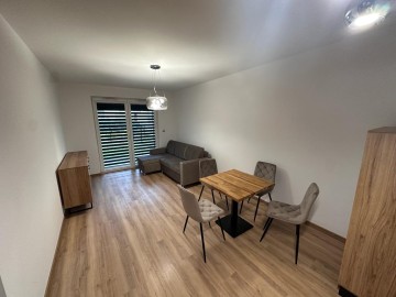 WYNAJMĘ mieszkanie 51m2 na parterze w Poznaniu obok POSNANII