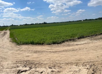 Sprzedam działkę rekreacyjną | Kosewo, jezioro Powidzkie