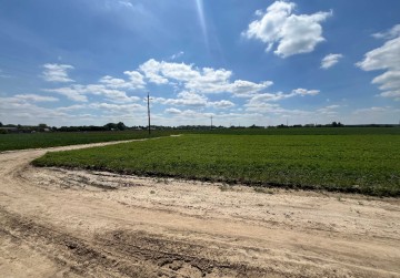 Sprzedam działkę rekreacyjną | Kosewo, jezioro Powidzkie