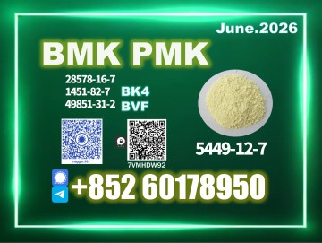 New B.MK CAS 5449-12-7 PM.K Direct Manufacture