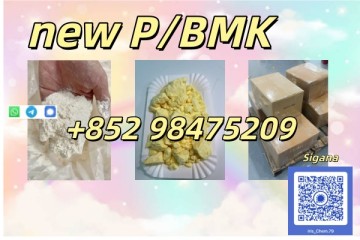 NEW PMK BMK CAS 28578-16-7 In Stock High Quality Factory