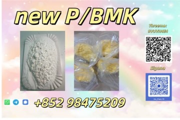 NEW PMK BMK CAS 28578-16-7 In Stock High Quality Factory