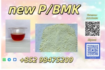 NEW PMK BMK CAS 28578-16-7 In Stock High Quality Factory