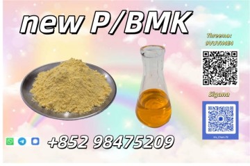 NEW PMK BMK CAS 28578-16-7 In Stock High Quality Factory