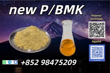Competitive Prices NEW PMK BMK CAS 28578-16-7 DDP