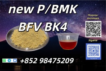 Competitive Prices NEW PMK BMK CAS 28578-16-7 DDP