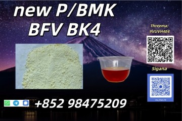 Competitive Prices NEW PMK BMK CAS 28578-16-7 DDP