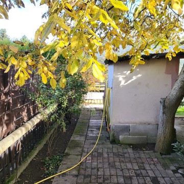 Sprzedam działkę ROD z pięknym ogrodem i dużym domkiem.