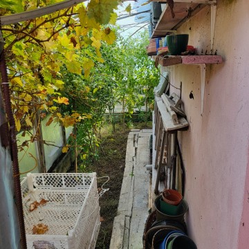 Sprzedam działkę ROD z pięknym ogrodem i dużym domkiem.