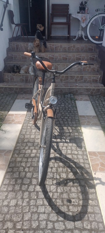 Rower damski
